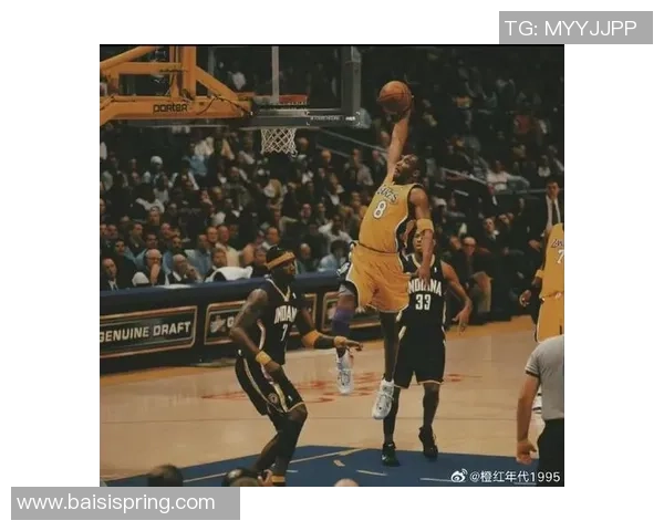 篮球专题：聚焦南京篮球队的团队协作